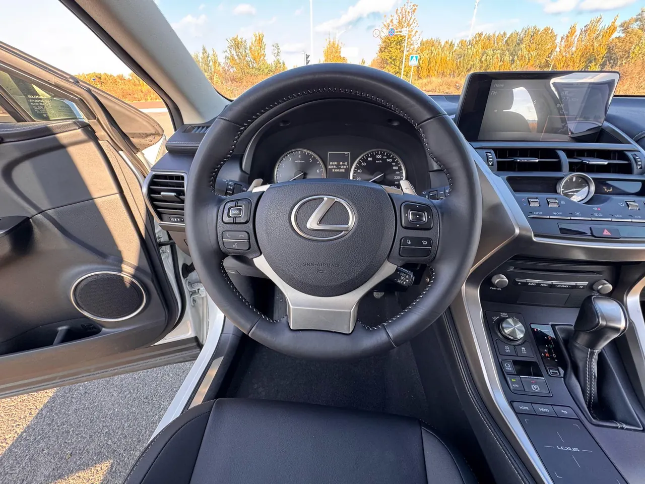 Lexus NX (Imported) 2020 NX200 2.0 Stepless Front Edition Automatic Gear 15