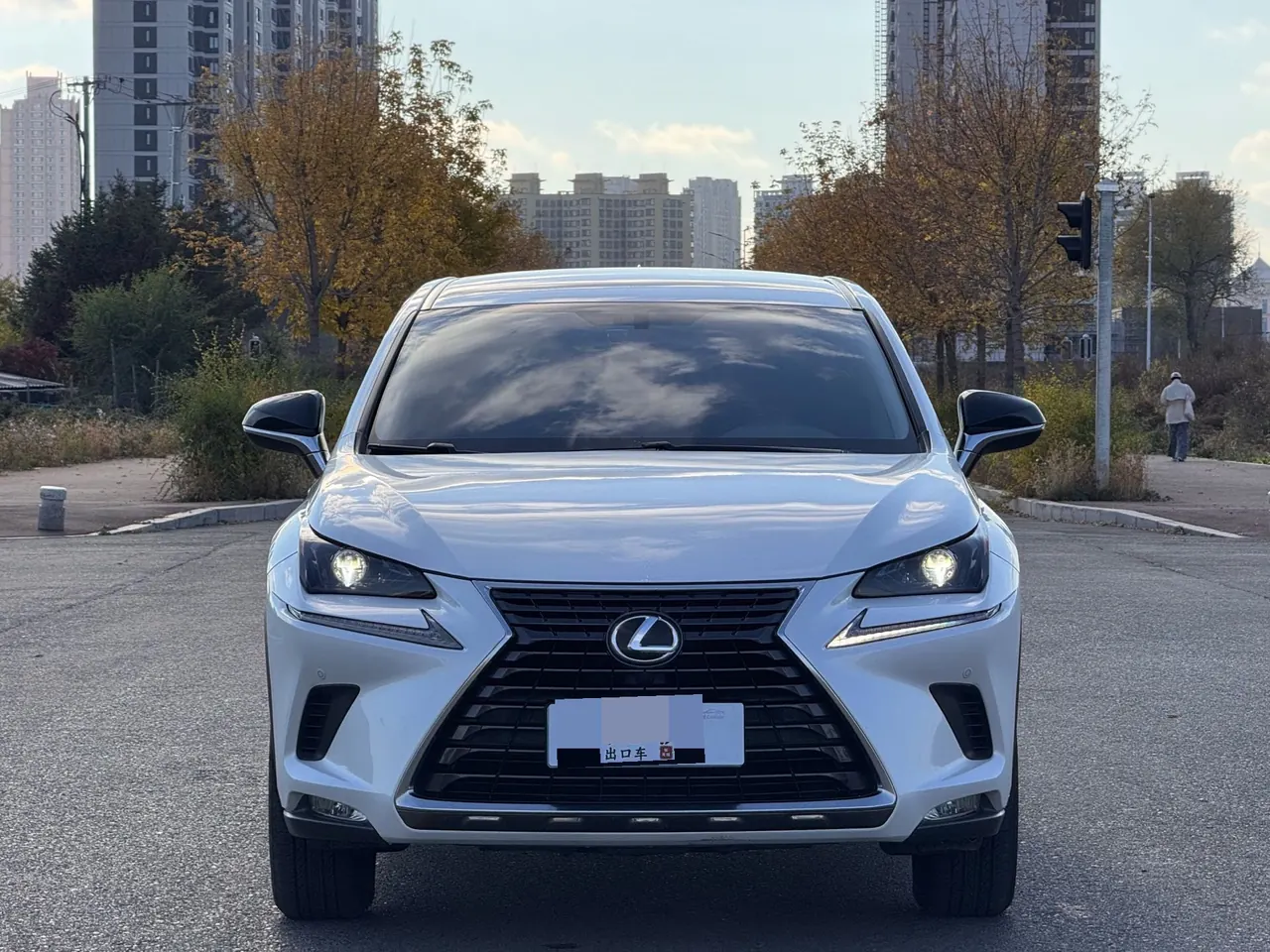 Lexus NX (Imported) 2020 NX200 2.0 Stepless Front Edition Automatic Gear 2