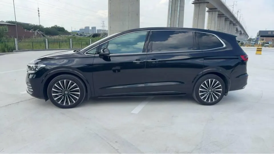 Volkswagen 2020 Wei (Viloran) 2.0TSI 380TSI Premium Edition Automatic Gear 8
