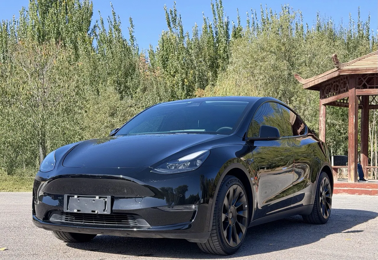 Открыть галерею: Tesla 2021 Model Y Standard Endurance Rear Drive Automatic Gear