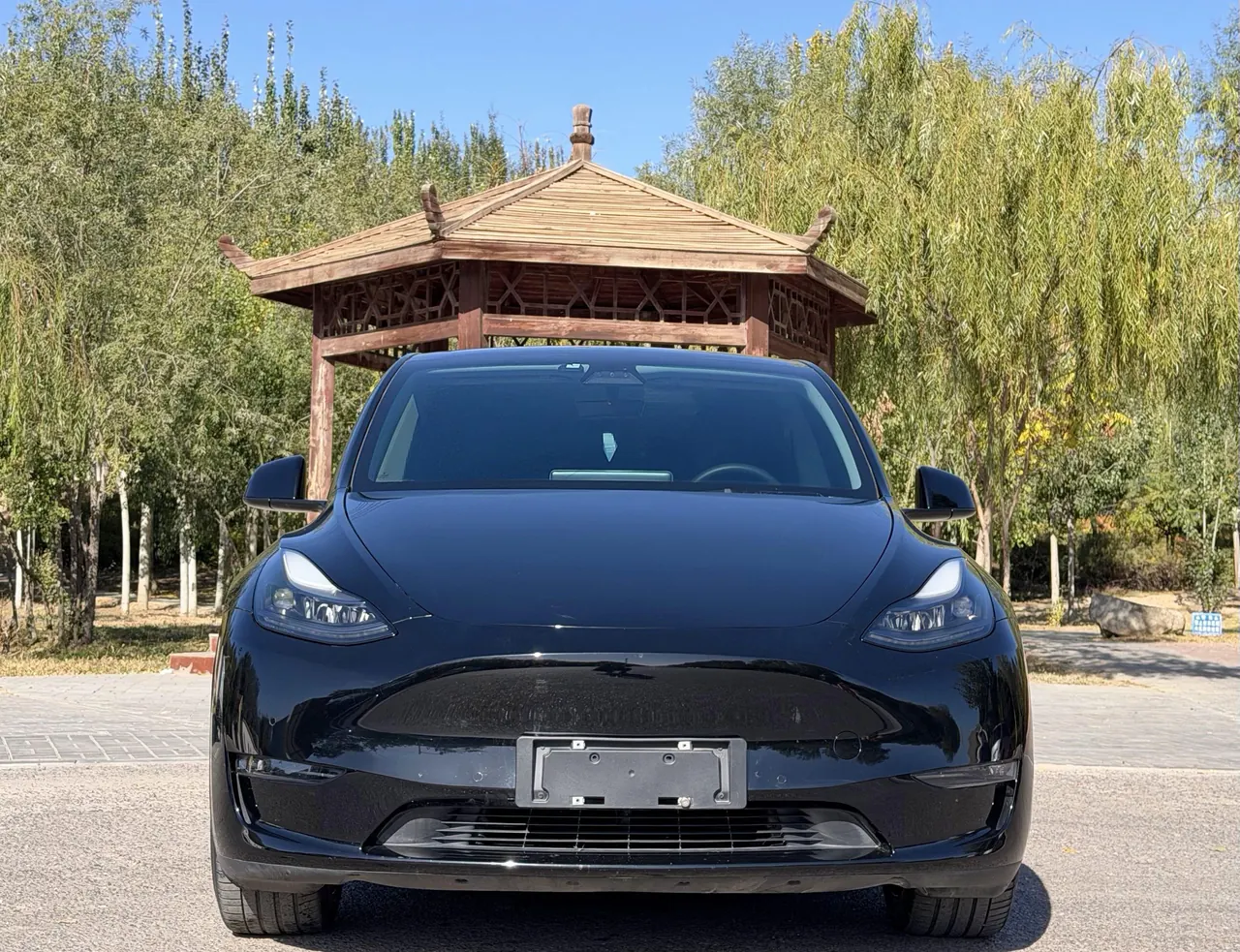 Tesla 2021 Model Y Standard Endurance Rear Drive Automatic Gear 2