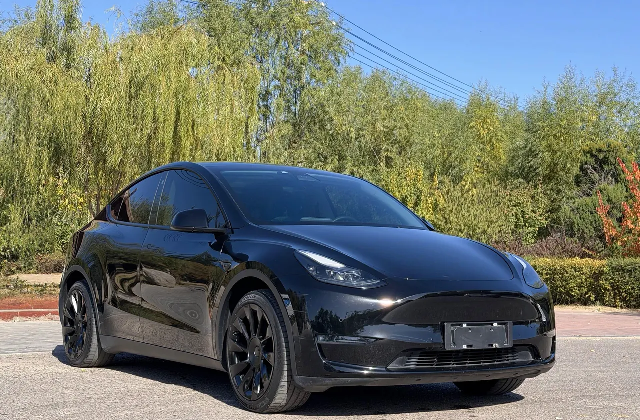 Tesla 2021 Model Y Standard Endurance Rear Drive Automatic Gear 3