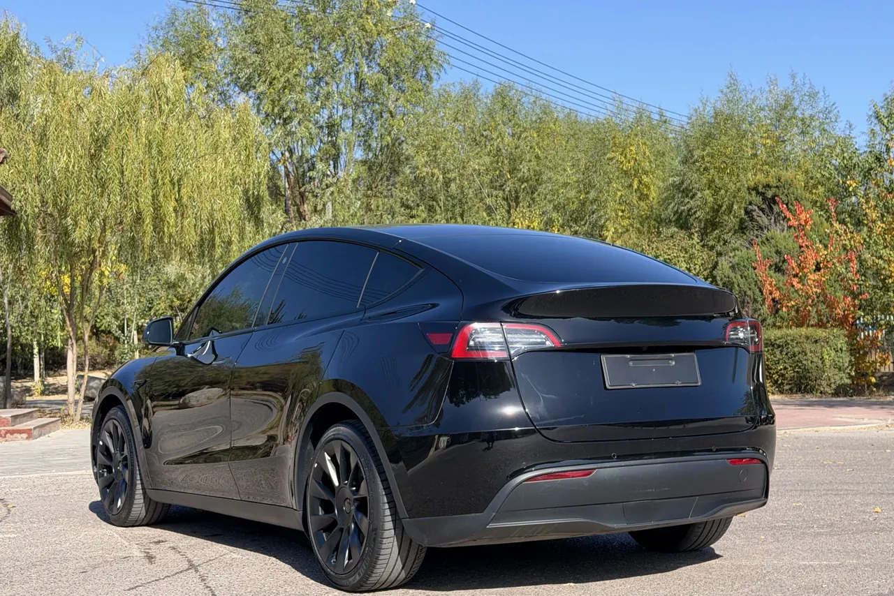 Tesla 2021 Model Y Standard Endurance Rear Drive Automatic Gear 4