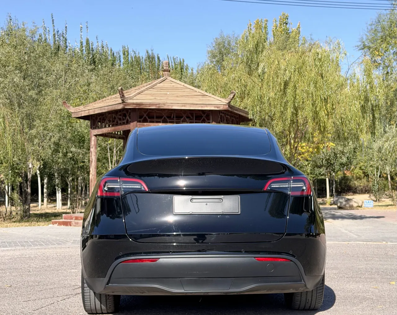 Tesla 2021 Model Y Standard Endurance Rear Drive Automatic Gear 5