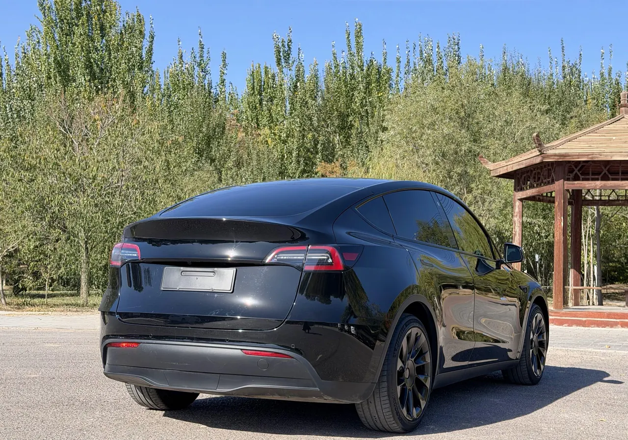 Tesla 2021 Model Y Standard Endurance Rear Drive Automatic Gear 6