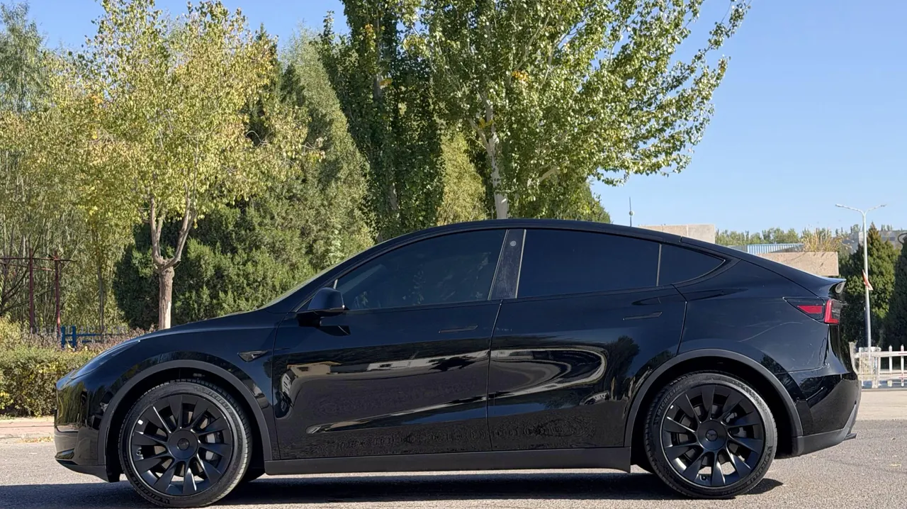 Tesla 2021 Model Y Standard Endurance Rear Drive Automatic Gear 7