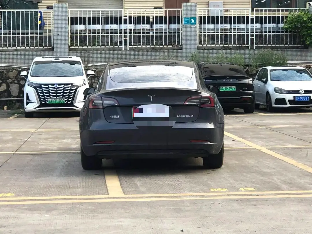 Tesla 2021 Model 3 Standard Endurance Rear Drive Upgraded Automatic Gear 4