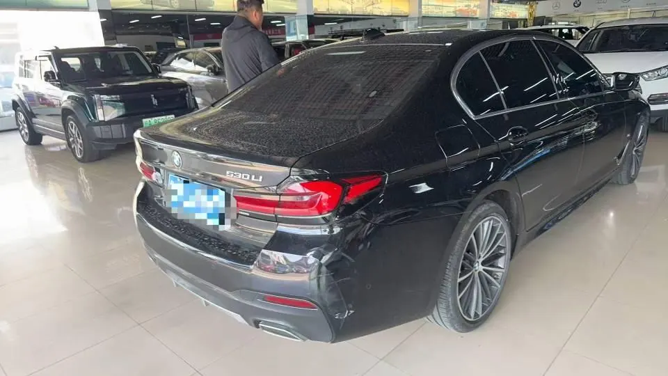 BMW 5 Series 2022 530Li 2.0T Leading M Sports Suit (Change 2) Automatic Gear 5