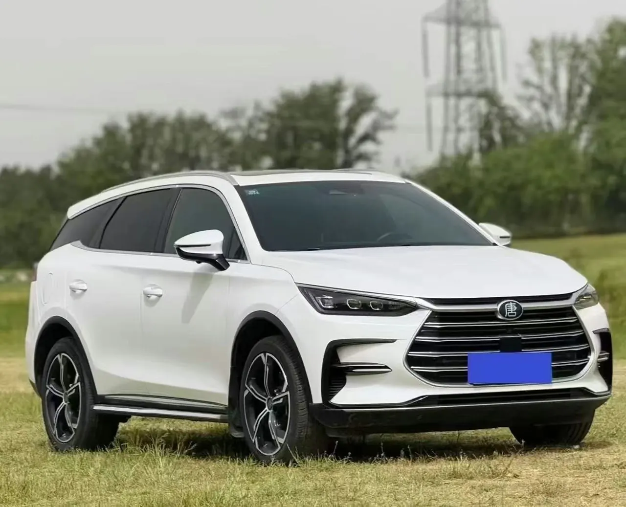 BYD Tang New Energy 2021 Tang DM-i 1.5T Stepless 112KM Honorable Automatic Gear 3