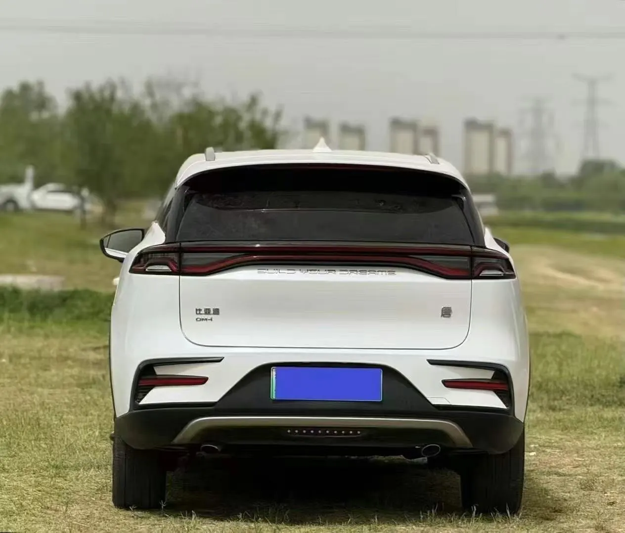 BYD Tang New Energy 2021 Tang DM-i 1.5T Stepless 112KM Honorable Automatic Gear 9
