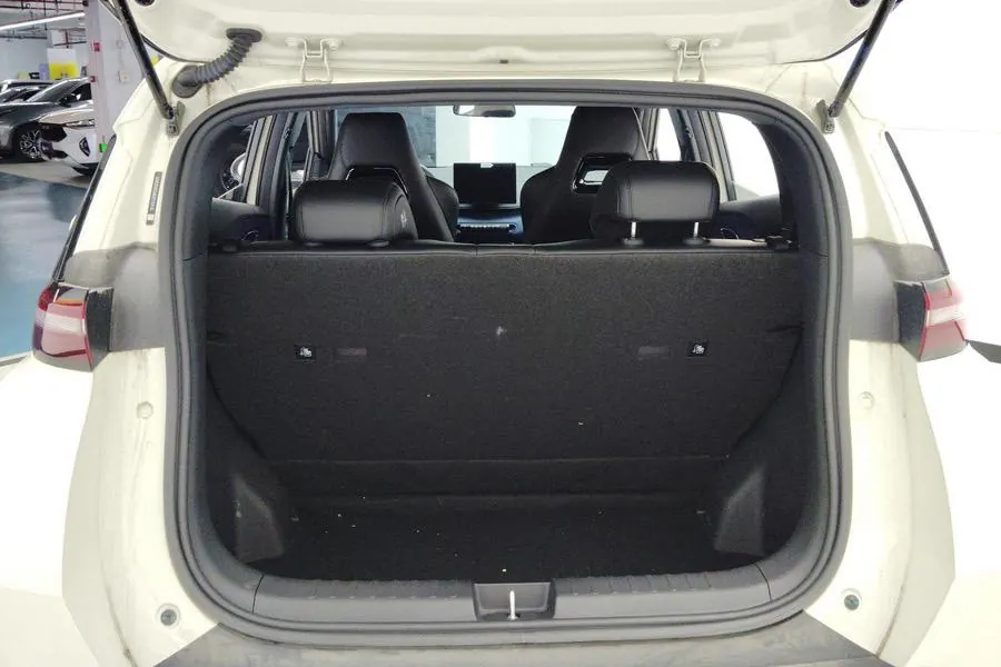 BYD 2023 seagull flying version automatic gear 10