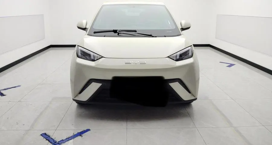 BYD 2023 seagull flying version automatic gear 3