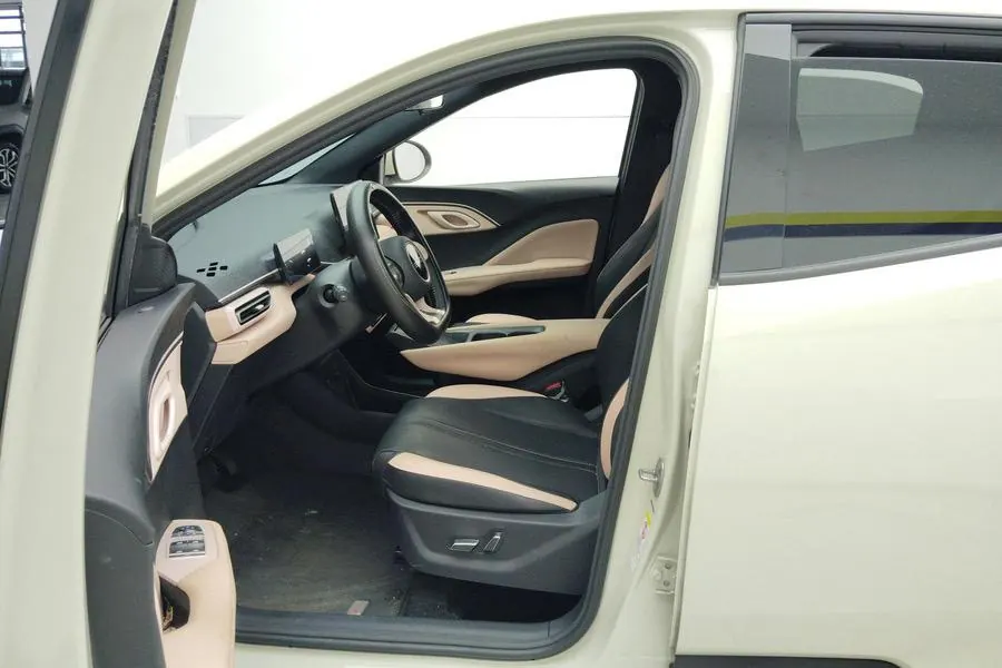 BYD 2023 seagull flying version automatic gear 4