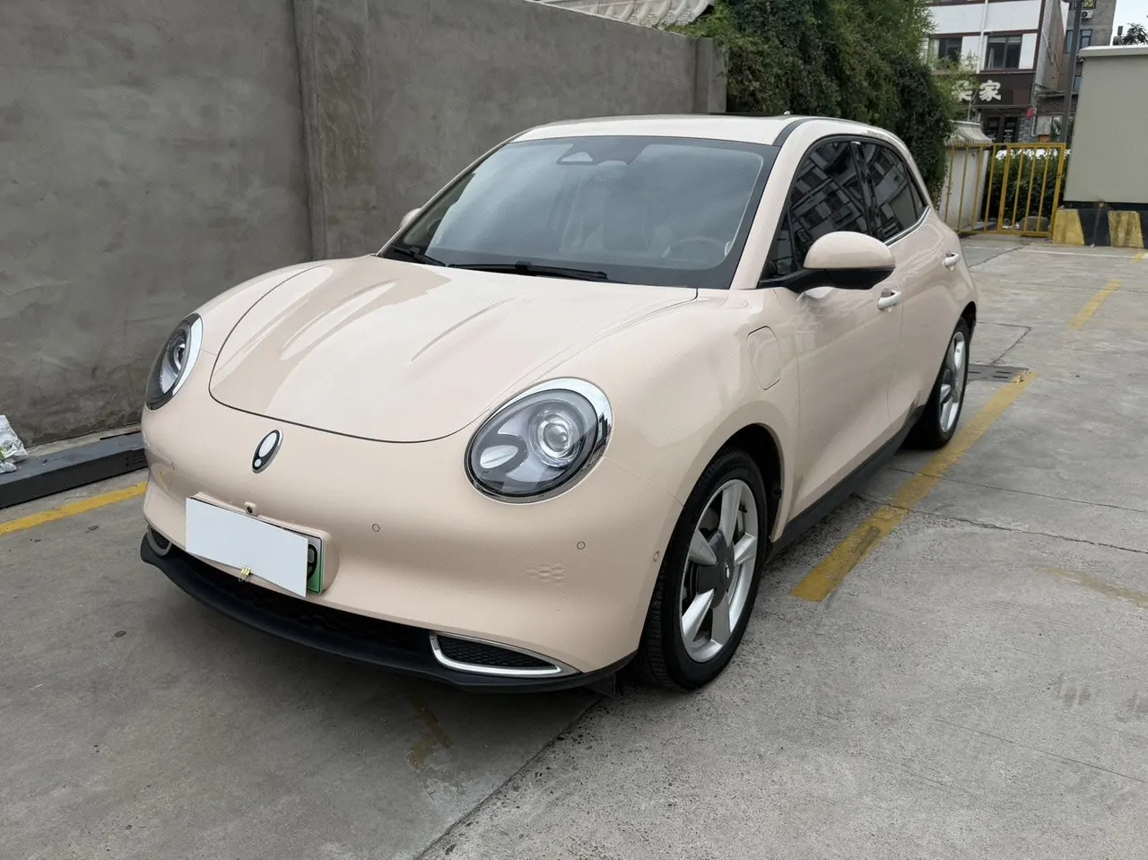 打开图片灯箱:Ora 2023 Good Cat 401km Standard Endurance Honorable Ternary Lithium Automatic Gear
