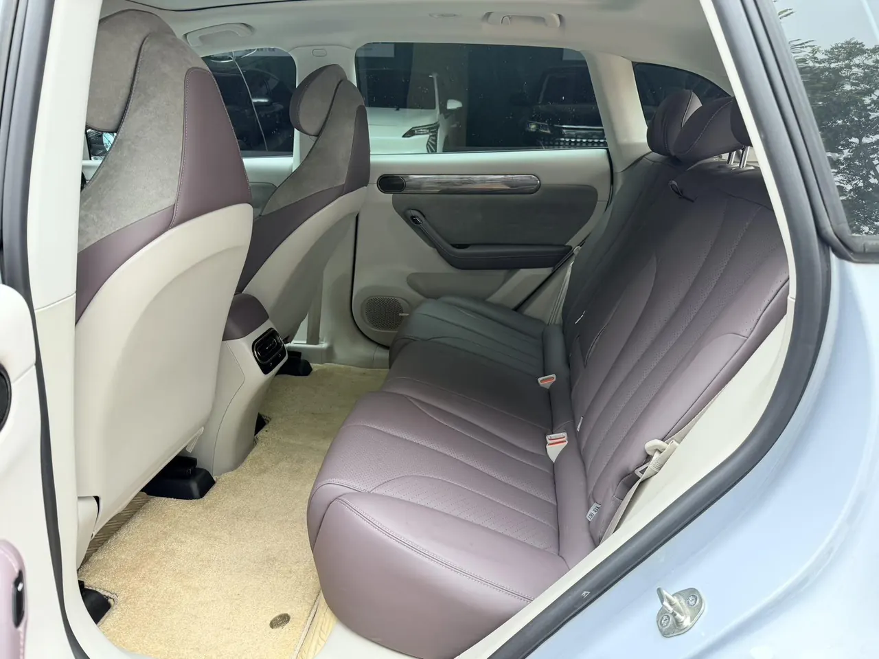 Leapmotor 2021 C11 Deluxe Edition (Modified) Automatic Gear 3