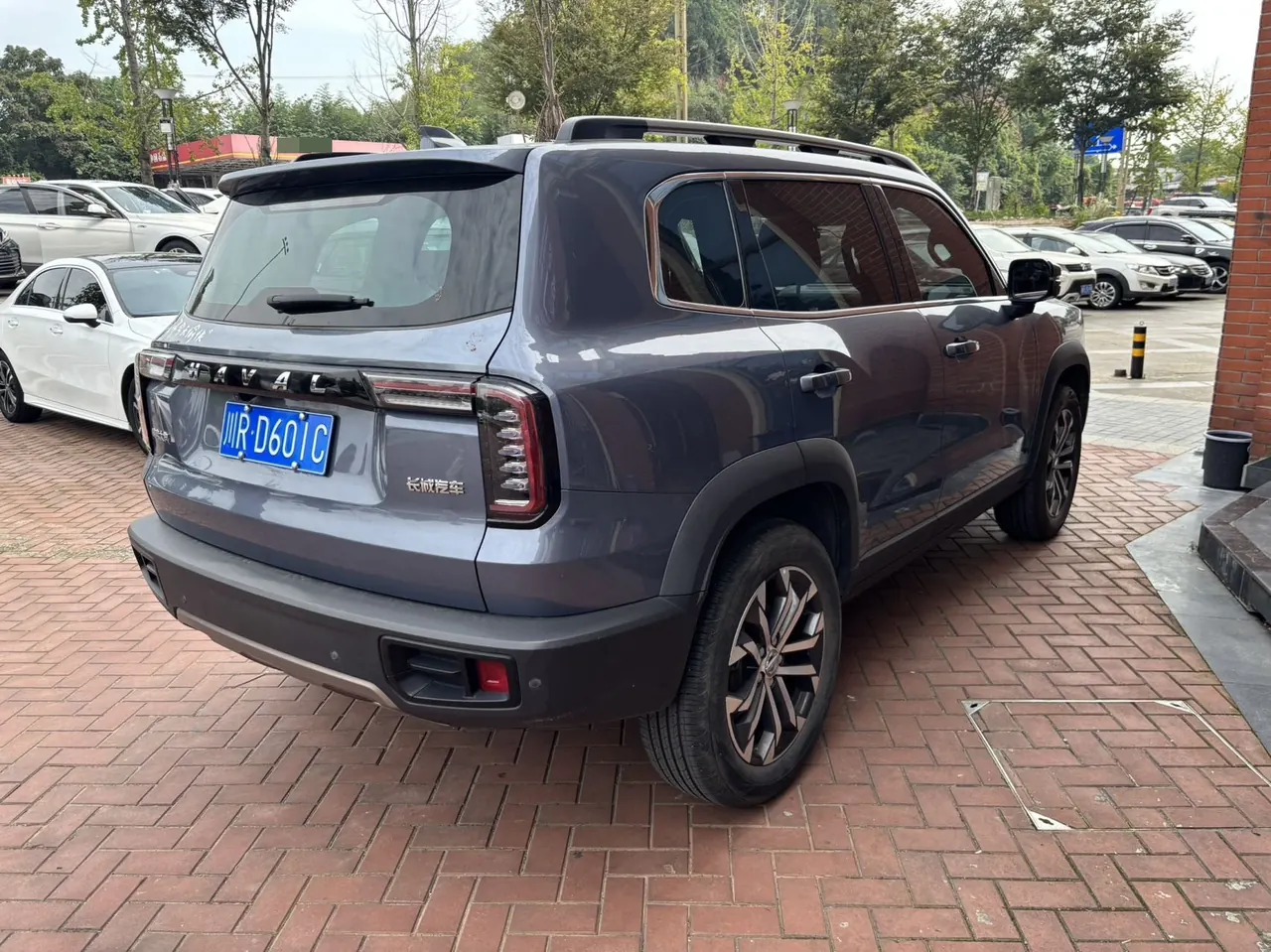 Haval 2021 Big Dogs 1.5T Border Animal Husbandry Wangcai Edition Automatic Gear 7