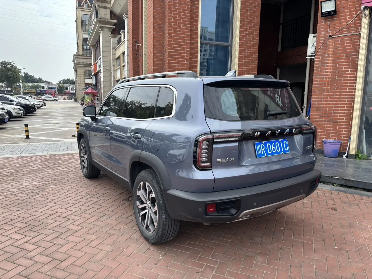 Haval 2021 Big Dogs 1.5T Border Animal Husbandry Wangcai Edition Automatic Gear 8
