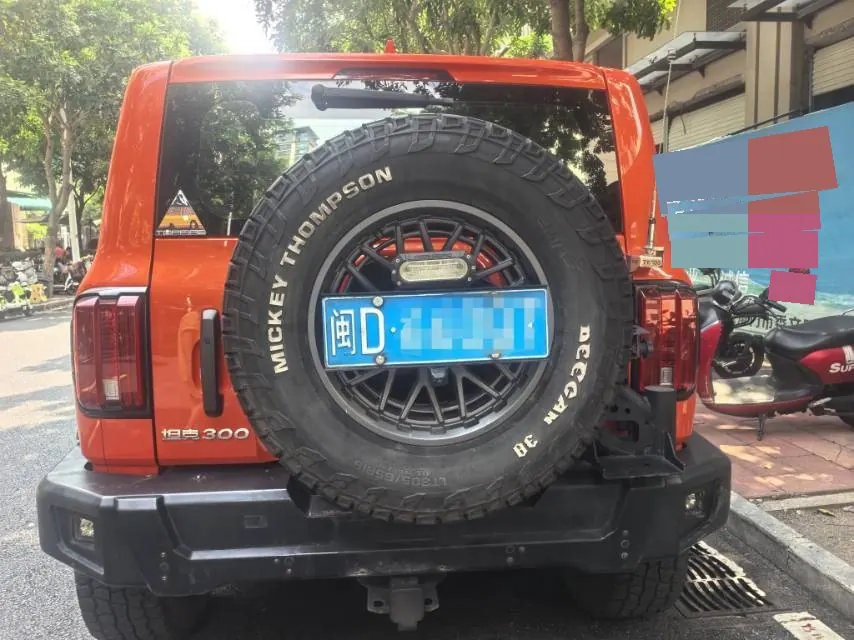 Tank 2021 Tank 300 2.0T Off-road Conqueror Automatic 5