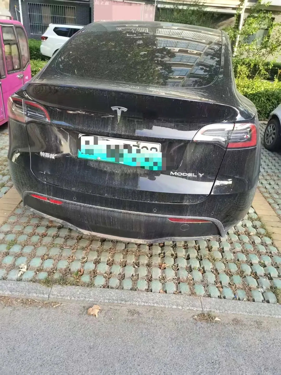 Tesla 2022 Model Y rear-wheel drive version automatic transmission 4