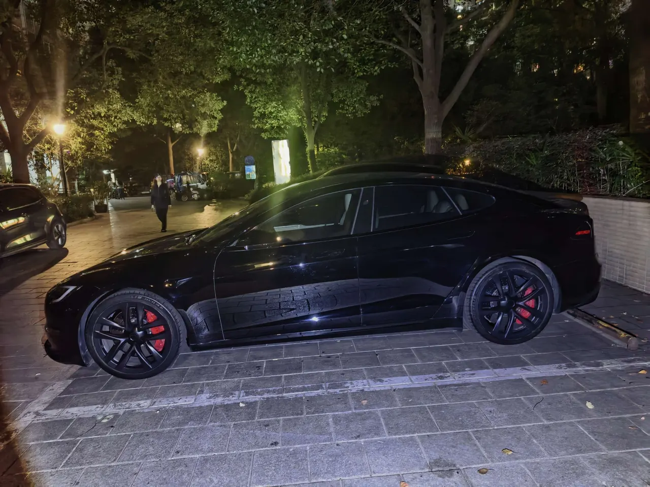 Tesla Model S (Imported) 2023 Model S Three-motor All-wheel Drive Plaid Edition Automatic Gear 3