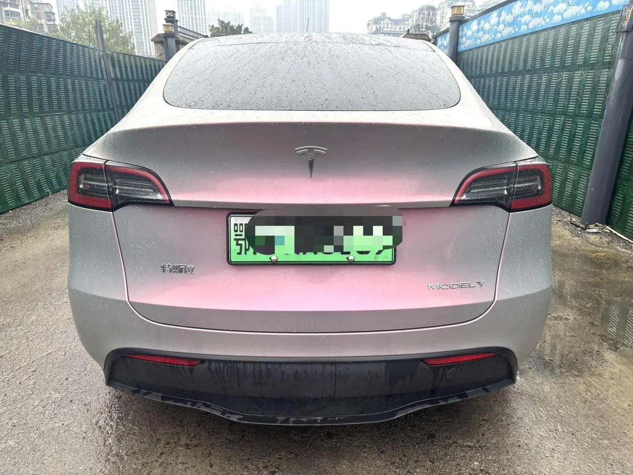 Tesla 2024 Model Y rear-wheel drive version automatic transmission 8