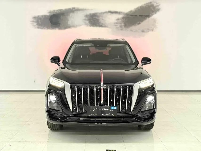 HongQi 2025 HS5 2.0T Two-Drive Flag Enjoy Pro Edition Automatic Gear 3
