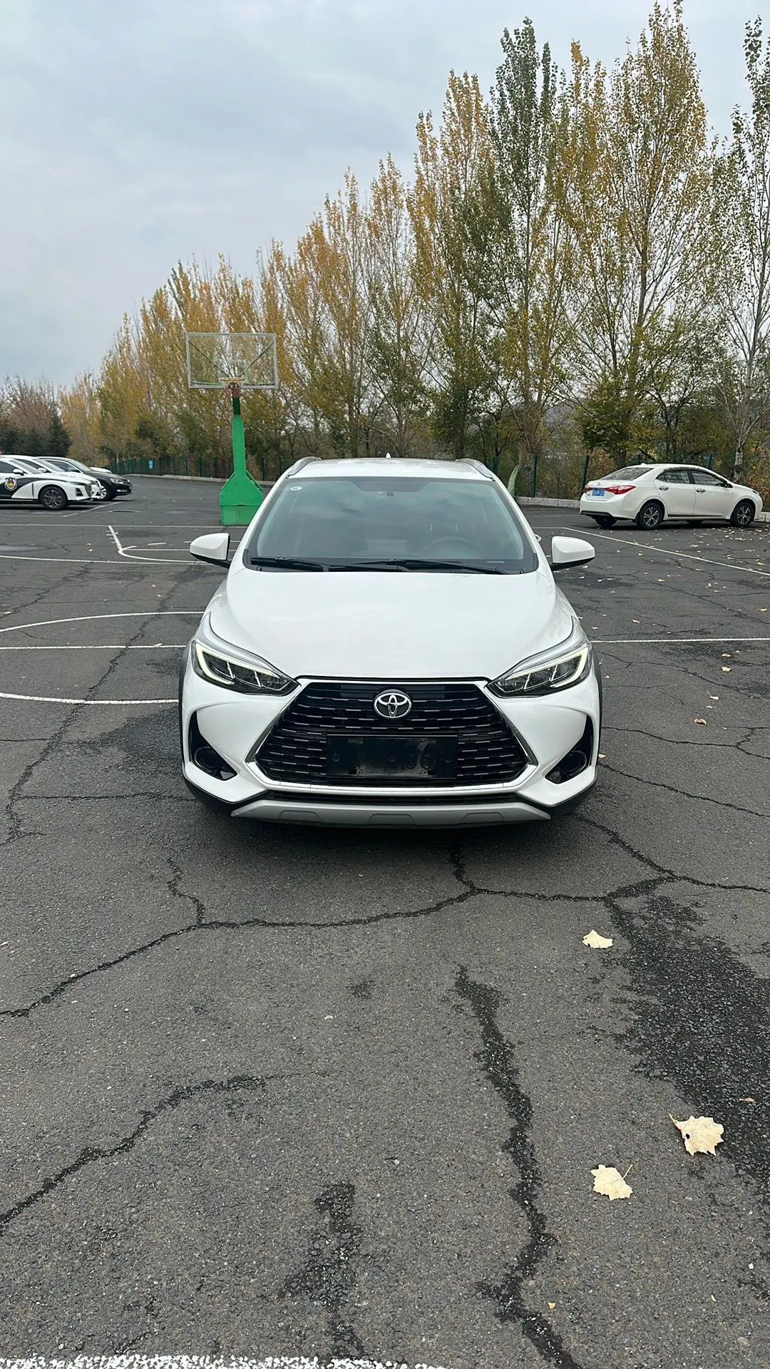 Toyota yaris 2022 YARiS L Zhixuan X 1.5 Stepless Leading PLUS Edition Automatic Gear 5
