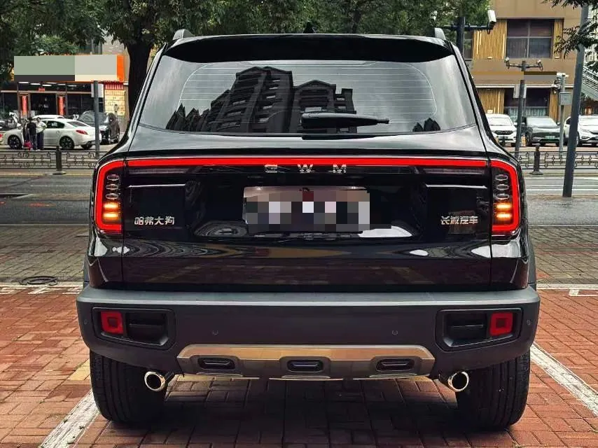 Haval 2026 model Big Dog 1.5T Border Collie Edition Automatic Transmission 4