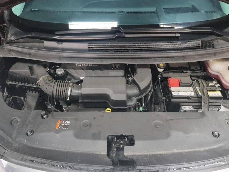 Buick 2025 Century 48V 2.0T Yunshi Edition 7-seat Automatic Gear 9