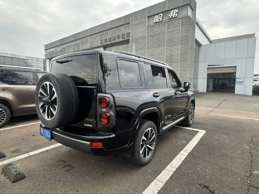 Haval 2024 H9 2.0T Four-wheel Drive Extreme Edition Automatic Gear 5