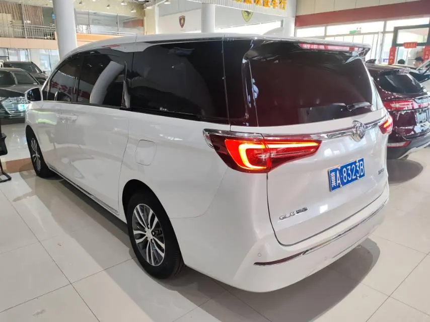 Buick 2023 GL8 ES Lu Zun 48V 2.0T 653T Comfortable Automatic Gear 5