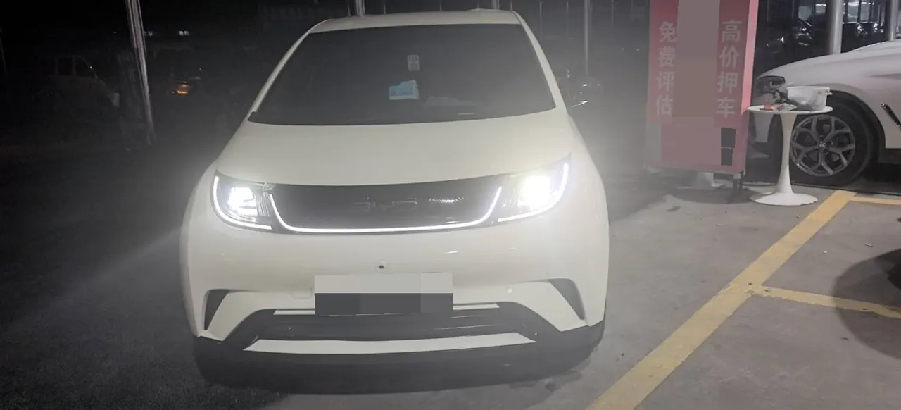 BYD 2021 Dolphin 405km Fashion Edition Automatic 2