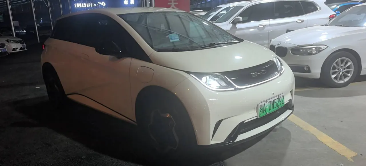 BYD 2021 Dolphin 405km Fashion Edition Automatic 3