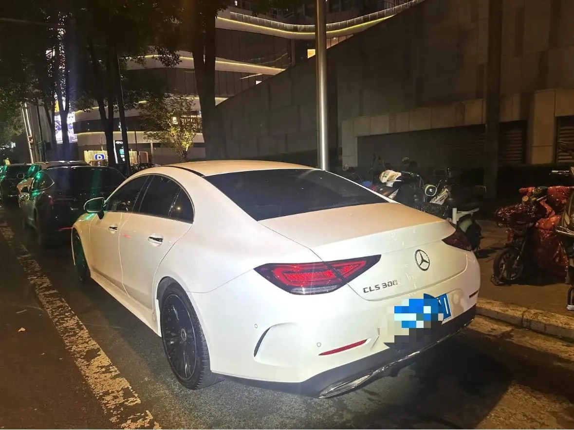 Mercedes Benz CLS (Imported) 2020 CLS 300 2.0T Luxury Automatic Gear 2