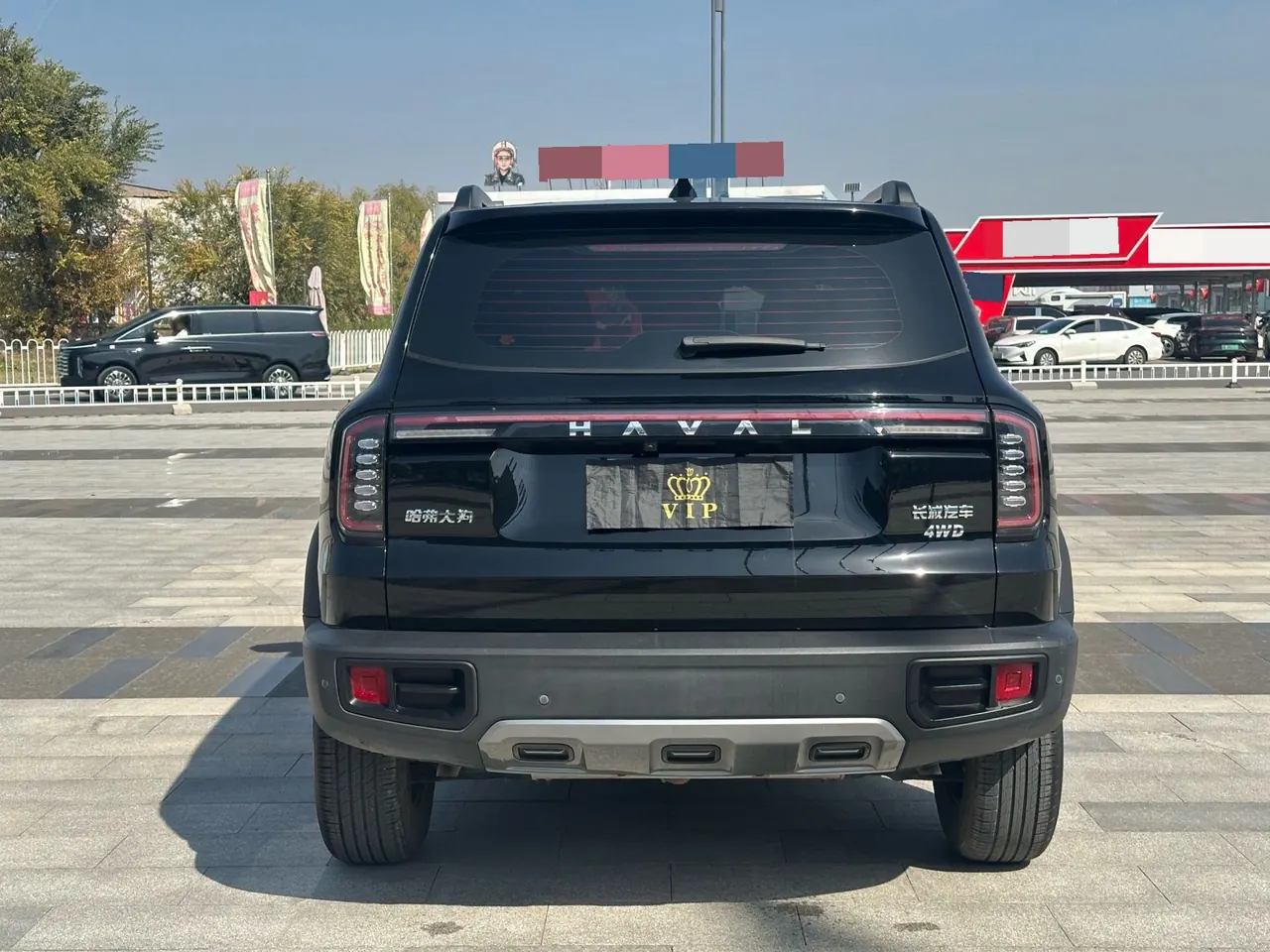 Haval 2024 big dog 2.0T Chinese garden dog version automatic gear 5