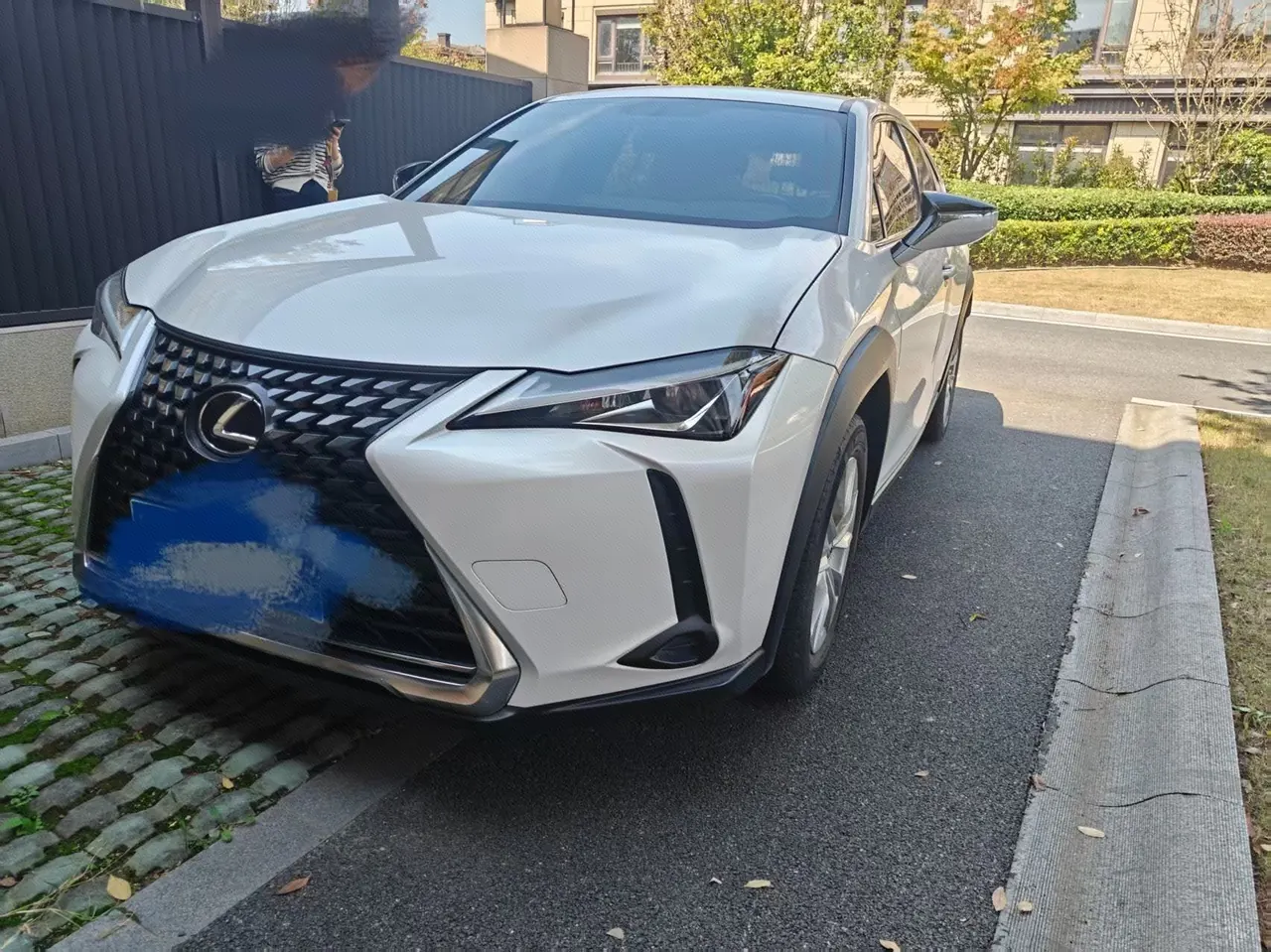 Lexus UX (Imported) 2020 UX200 2.0 Stepless Special Edition Automatic Gear - View 1