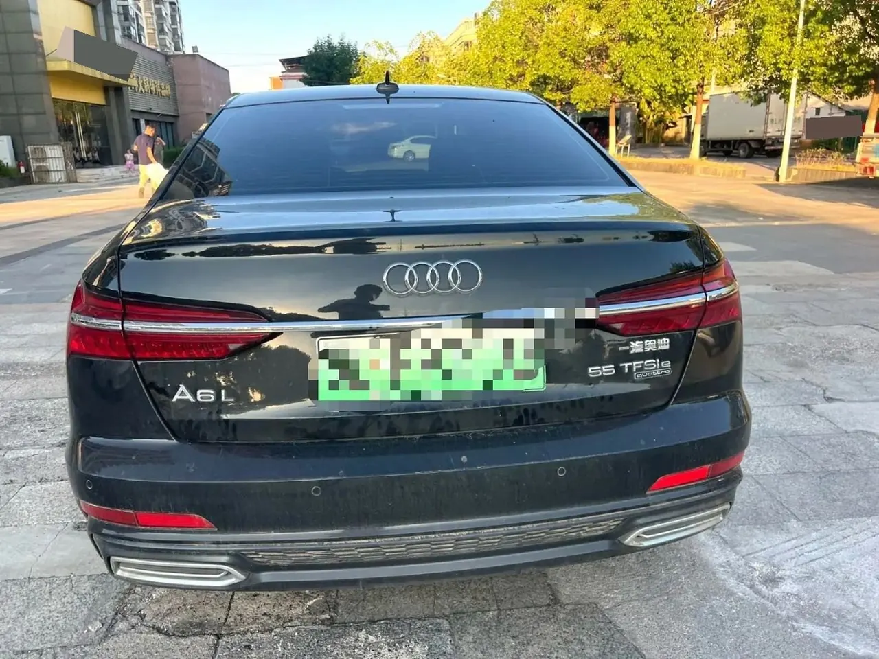 Audi A6L New Energy 2020 A6L e-tron 2.0TFSI 55TFSI e Quattro Automatic 14