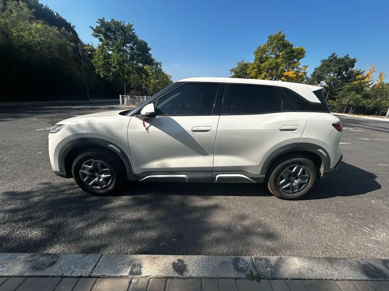 BYD 2025 Yuan UP 301KM Pilot Automatic Gear 3