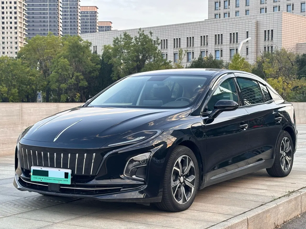 HongQi 2023 E-QM5 Basic Travel Edition (Modified) Automatic Gear - View 1
