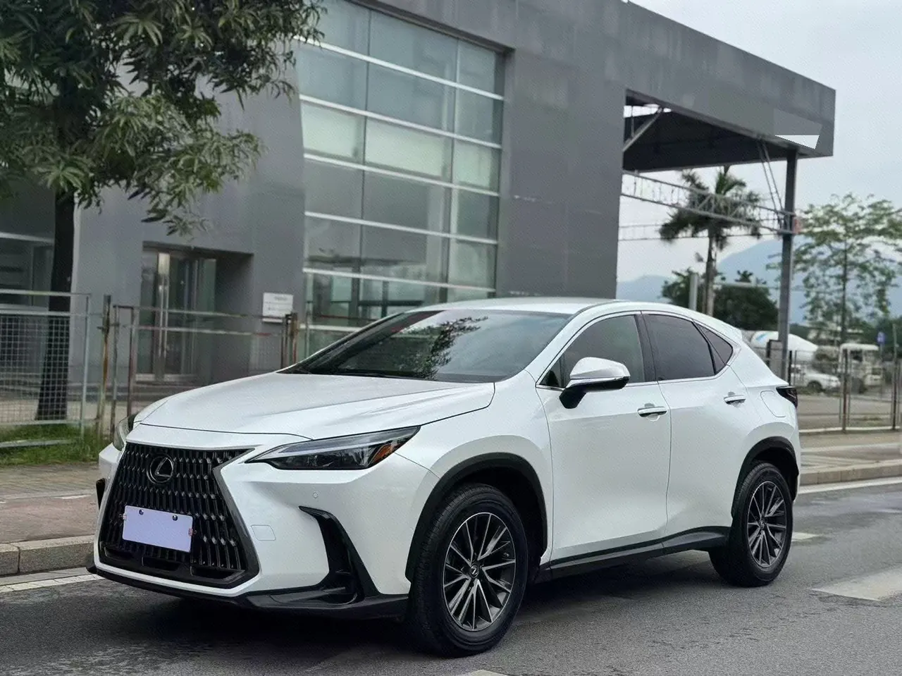 Lexus NX (Imported) 2023 NX260 2.5 Chuangyou Special Edition Automatic Gear - View 1