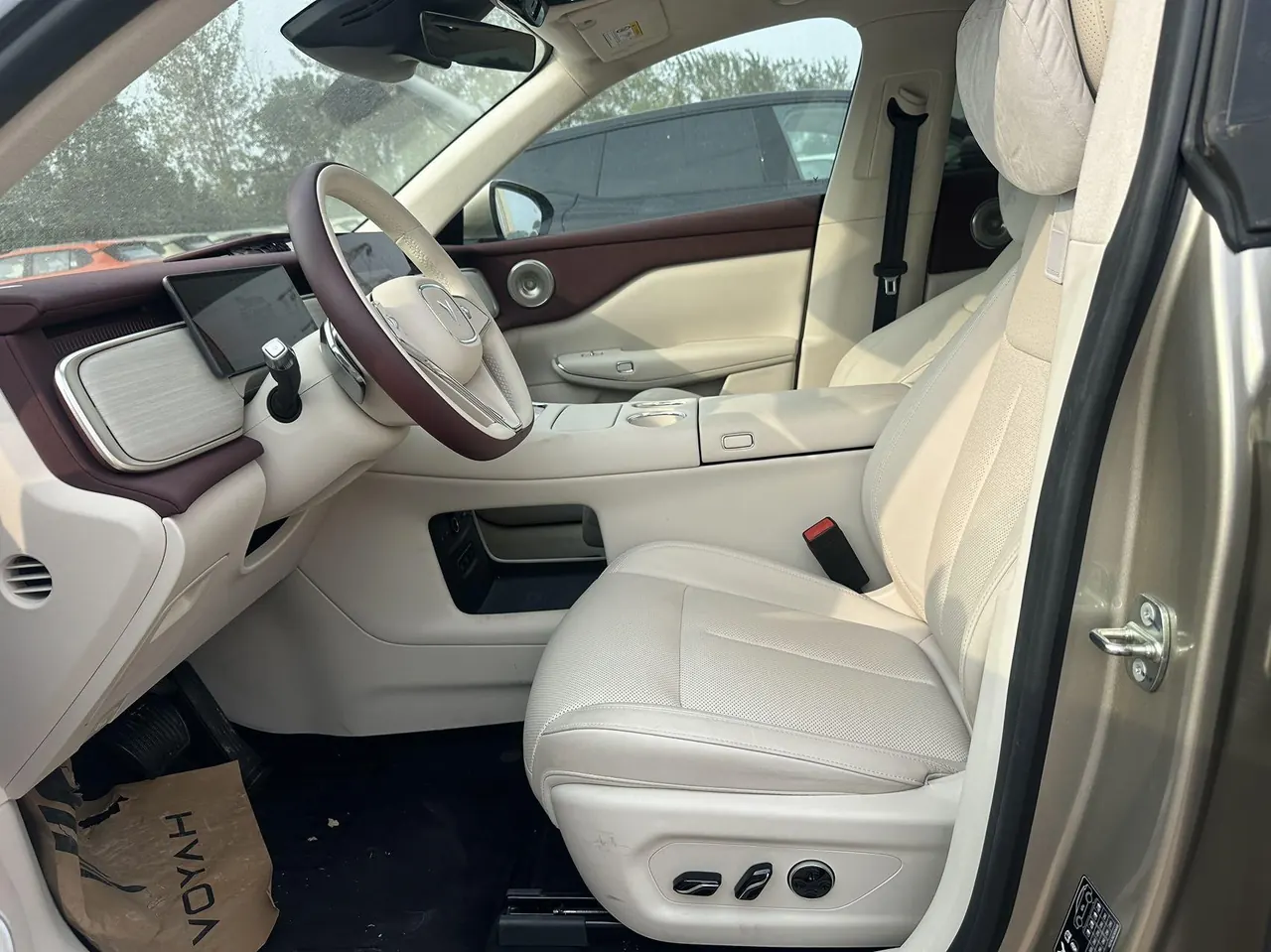 Voyah 2025 bosom friend four-wheel drive dry Kun version automatic gear 8