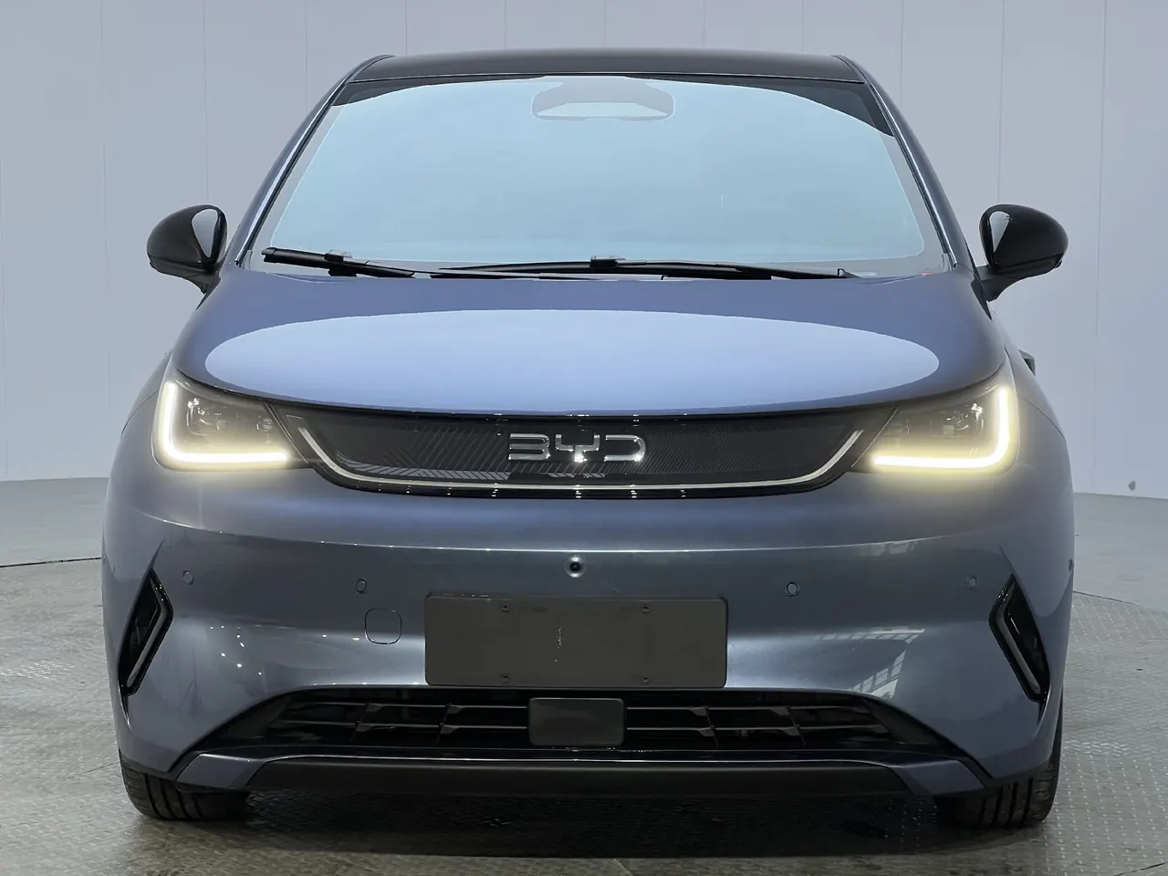 BYD 2025 Dolphin Smart Driving 410km Fashion Automatic Gear 2