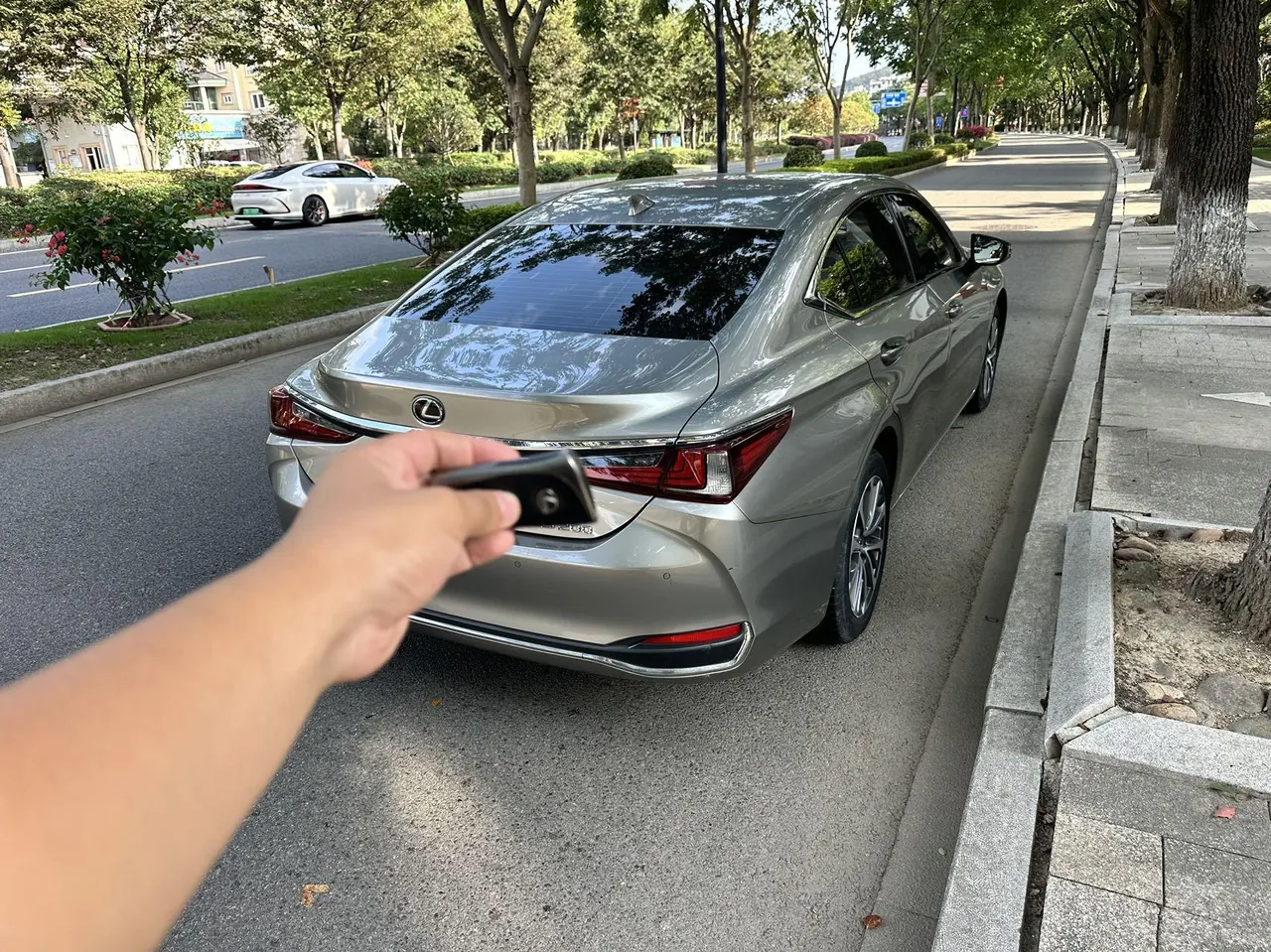 Lexus ES (Imported) 2023 ES200 2.0 Stepless Premium Edition Automatic Gear 3