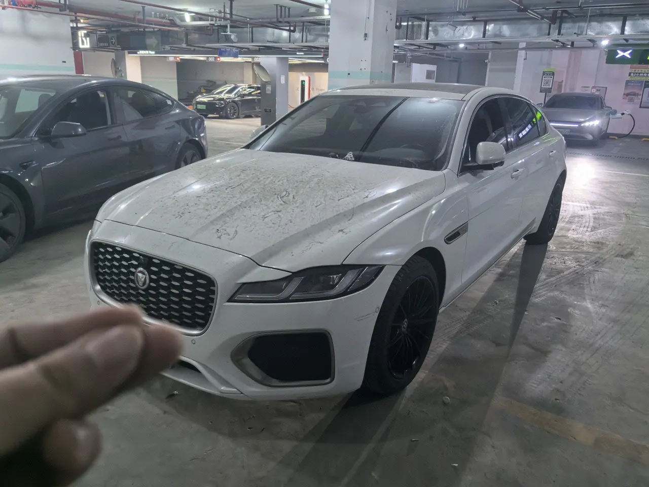 Jaguar 2023 XFL 2.0T P 10000.00g Drive Elite Deluxe Automatic Gear - View 1