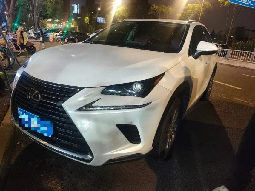 Lexus NX (Imported) 2020 NX200 2.0 Stepless Front Edition Automatic Gear - View 1
