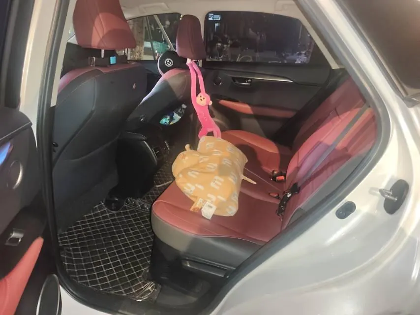 Lexus NX (Imported) 2020 NX200 2.0 Stepless Front Edition Automatic Gear 3