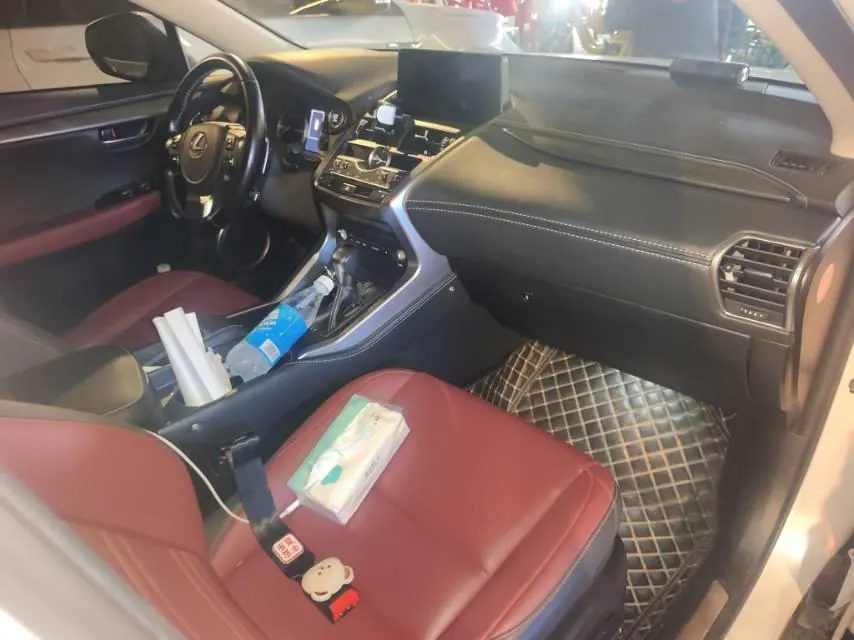 Lexus NX (Imported) 2020 NX200 2.0 Stepless Front Edition Automatic Gear 4