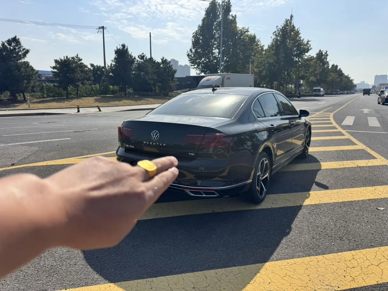 Volkswagen 2023 Magotan 2.0TSI 330TSI 2 million Commemorative Edition Leading Automatic Gear 4