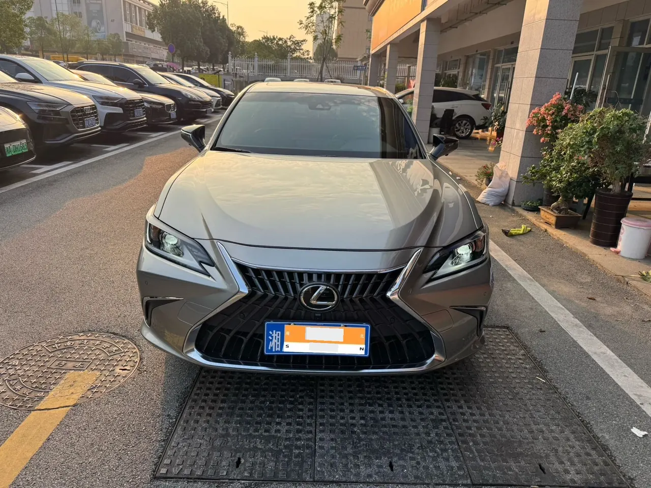 Lexus ES (Imported) 2022 ES200 2.0 Stepless Premium Edition Automatic Gear 2