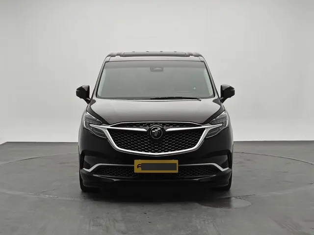 Buick 2020 GL8 Avenir 2.0T Seven-seat Pro-Li Edition Automatic Gear 9
